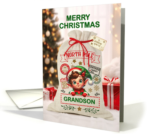Grandson Christmas Santa Sack and Boy Elf card (1889806)
