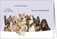 Dog Groomer Thank You Whimsical Dogs with Puns