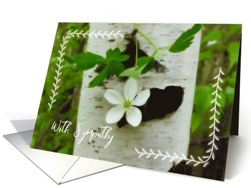 Sympathy Flower and Birch Tree card (821437)
