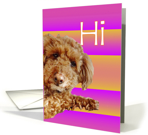 Miniature Poodle Hi Whatcha Doin? card (821720)