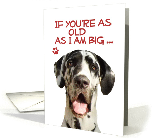 Happy Birthday Old Age Humorous Harlequin Great Dane card (825096)
