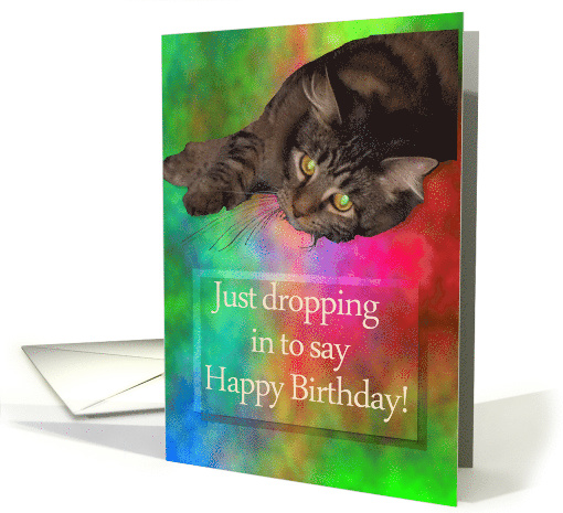 Happy Birthday Cat Dropping in to Say Happy Birthday card (834735)