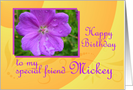 Happy Birthday Special Friend Mickey card