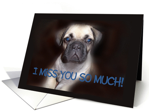 Adorable Pug Puppy I Miss You So Much card (851560)