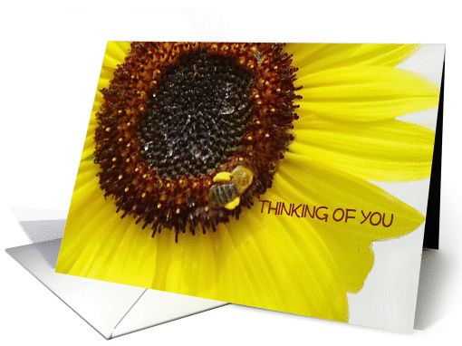 Thinking of You Bright Bold Sunflower with Honeybee Visiting card