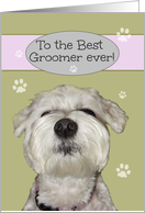 Thank You to the Best Groomer ever, Maltese card