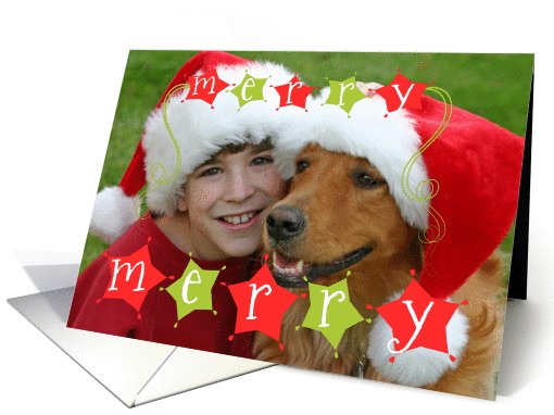 Merry Merry Christmas Stars Photo card (868023)