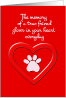 Pet Sympathy Memory of a True Friend card