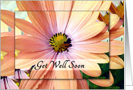 Get Well Soon Bright and Beautiful Flower card