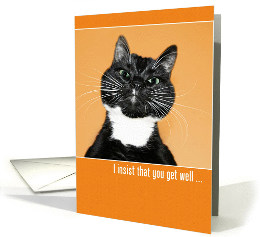 Get Well Humorous Stern Cat card (954253)