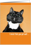 Get Well Humorous Stern Cat card