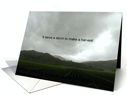 Look Beyond the Storm. card (877579)