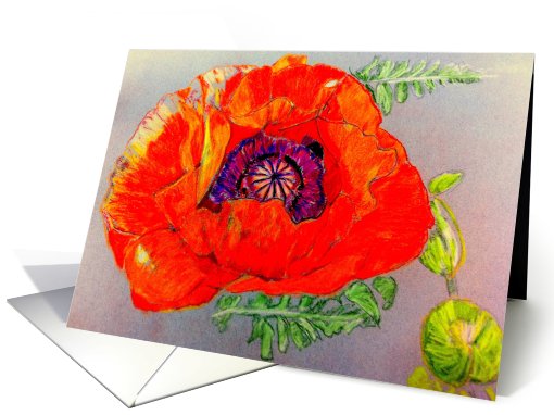 Red-Orange Poppy card (732388)