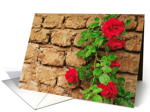Wall flowers blank note card (703525)