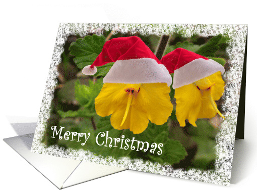 Flower santa - Merry Christmas card (704496)