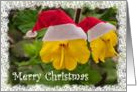 Flower santa - Merry Christmas card
