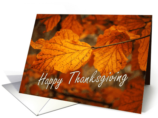 Happy Thanksgiving - Fall leaves card (706133)