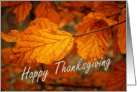 Happy Thanksgiving - Fall leaves card