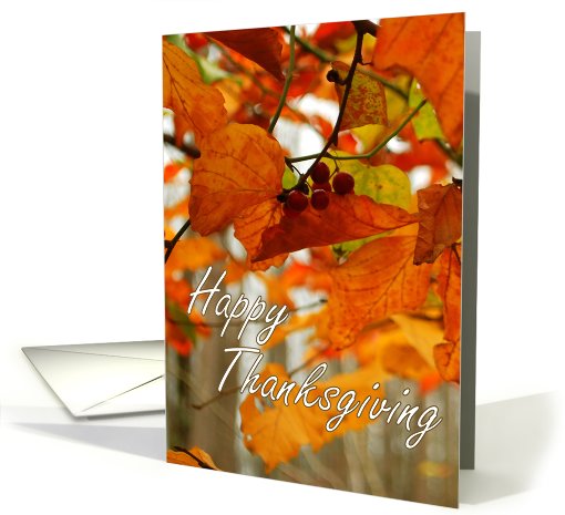 Happy Thanksgiving - Fall leaves card (706134)