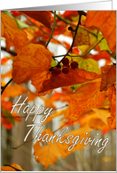 Happy Thanksgiving -...