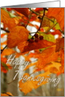 Happy Thanksgiving - Fall leaves card
