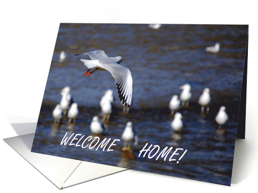Welcome Home seabird card (706998)