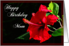 Happy Birthday Mom red hibiscus flower card