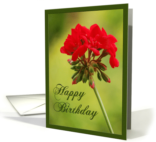 Happy Birthday red flower card (717529)