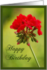 Happy Birthday red flower card