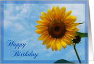 Happy Birthday sunflower card