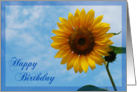 Happy Birthday sunflower card