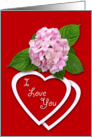 I Love You - pink flower on red card