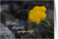 With Deepest Sympathy - yellow flower card