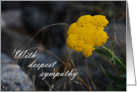 With Deepest Sympathy - yellow flower card