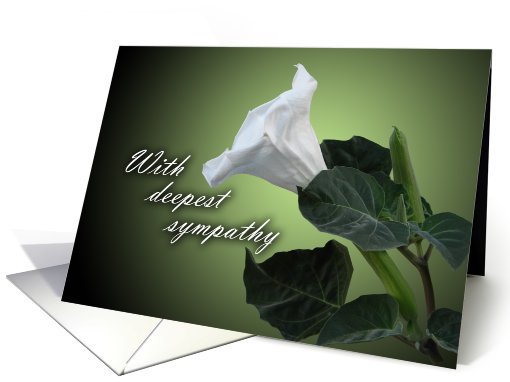 With Deepest Sympathy - white flower card (758529)