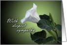 With Deepest Sympathy - white flower card