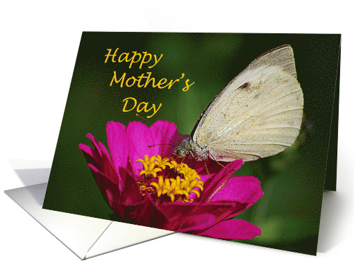 Happy Mother's Day - butterfly on flower card (774046)