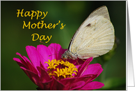 Happy Mother’s Day - butterfly on flower card