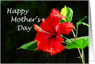 Happy Mother’s Day - red flower card