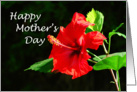 Happy Mother’s Day - red flower card