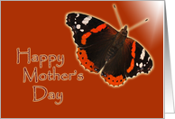 Happy Mother's Day -...