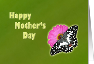 Happy Mother’s Day - butterfly on pink flower card