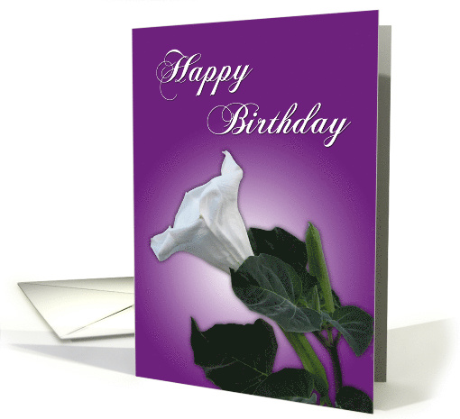 Happy Birthday - white flower against violet card (778023)