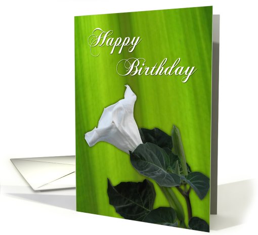 Happy Birthday - white flower against green leaf card (778024)