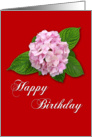 Happy Birthday - pink flower against red card