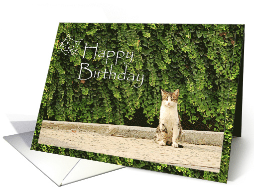 Happy Birthday - cat in a park card (778027)