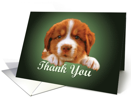 Thank You - puppy against dark green card (778031)