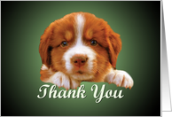 Thank You - puppy against dark green card