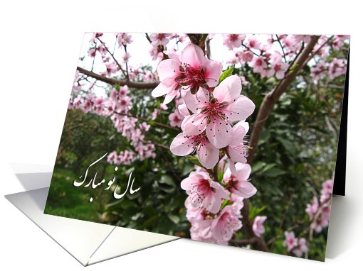 Happy Norooz - blooming tree card (779664)