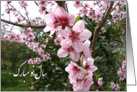 Happy Norooz - blooming tree card